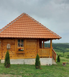 Etno domacinstvo Uvacki konaci